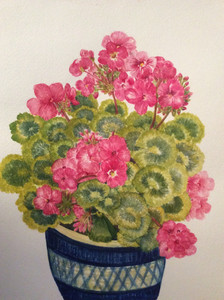 Dorothy 1   Geranium 10.20.jpg